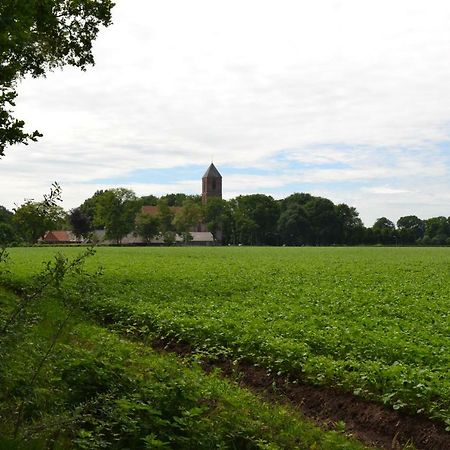 Mooi Nieuw Houten Huisje Havelte Extérieur photo